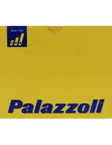 Palazzoli 579200 ter quadro 217x470x62mm senza aperture