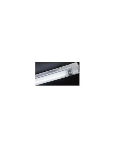 Rgl 8 t5 g5 4000ok