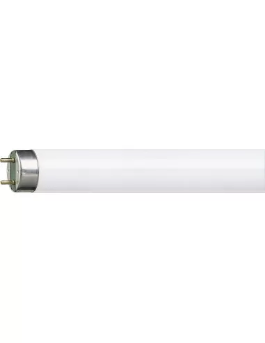 Signify italy 3683ng lineare tl-d 36w//830 calda