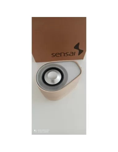 Applique murale Leucos 0305360362449 en bois de frêne avec ampoules LED 9 x 1,2 W, 3000 K, radio FM, Bluetooth et éclairage RGB 