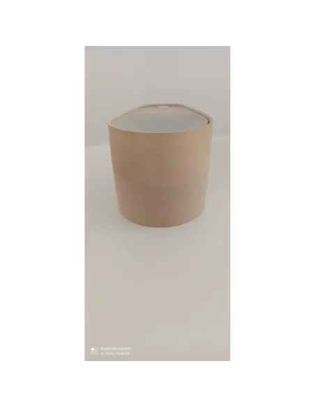 Leucos 0305360362449 wood wall lamp LED 9x1.2w 3000°k ash wood with FM radio Bluetooth RGB 2.6w