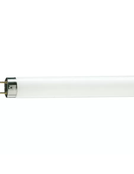 Philips TL-D Standard colours 928049005482 lampada fluorescente 58 W G13 Illuminazione fredda Philips TL-D Standard colours 928049005482 lampada fluorescente 58 W G13 Illuminazione fredda