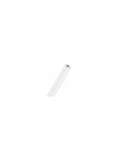 Ledvance l6520s linéaire d38mm 65w//20s