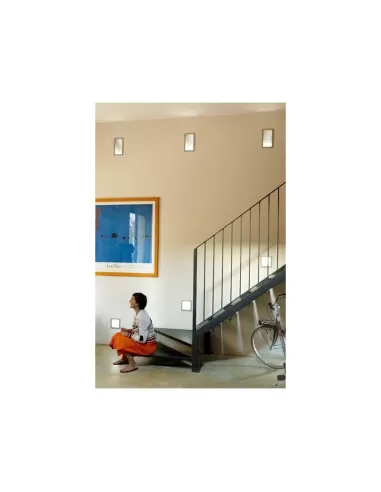 Réflecteur Luceplan d27/30v, optique satinée, pour orchestre, aluminium 300x150mm