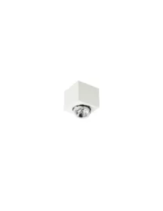 Light line 53704 paniers extérieurs blancs 1 source