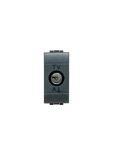 Living int TV socket pas.mas+r