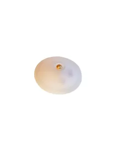 SIRRAH iGuzzini MERIDIANA grand d.600 plafond 2x26W 230v 2