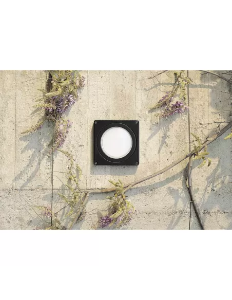 Castaldi D12/MH35-N Nut/mh35 jm 35w-g12 black