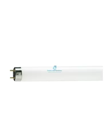 Philips 2354 Tl-d 23w/54-765 slv