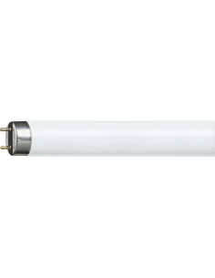 Philips MASTER TL-D Super 80 fluorescent lamp 36W T8 2700°k G13 1200mm warm light
