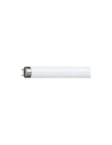 Philips MASTER TL-D Super 80 lampada fluorescente 36 W G13 Illuminazione fredda 6000°k