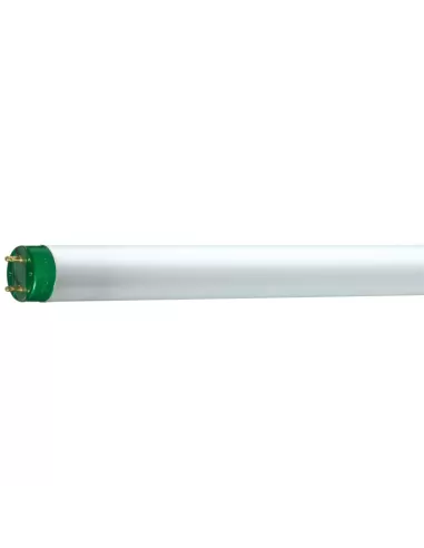 Philips MASTER TL-D Eco fluorescent lamp 51.4 W G13 Cool White