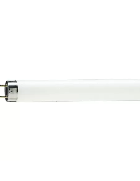 Philips MASTER TL-D Food lampada fluorescente 58,5 W G13 Bianco Philips MASTER TL-D Food lampada fluorescente 58,5 W G13 Bianco