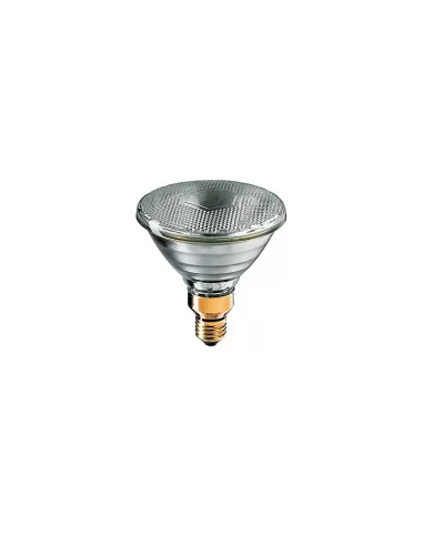 Philips 28600 e80 spot d'inondation e27 230v 40w