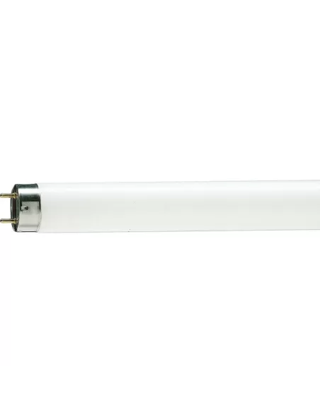 Philips MASTER TL-D 90 De Luxe fluorescent lamp 36 W G13 Cold white Philips MASTER TL-D 90 De Luxe fluorescent lamp 36 W G13 Cold white