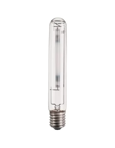 Philips MASTER SON-T PIA Plus Lámpara sodio 100 W E40 10700 lm 2000 K