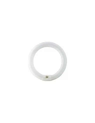 Philips e2284 tl-e 22w/840