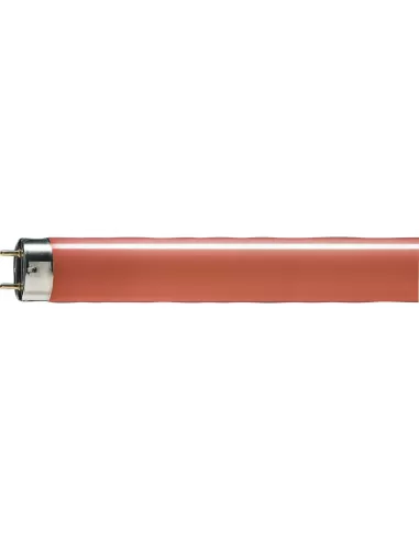 Philips 5815r tl-d colored 58w red 1sl/25