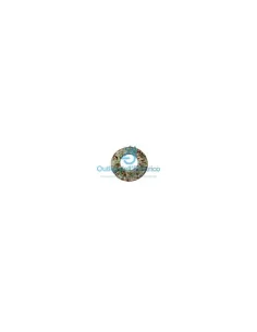 Seite 595308 Glasblume D70 1161 mehrfarbig