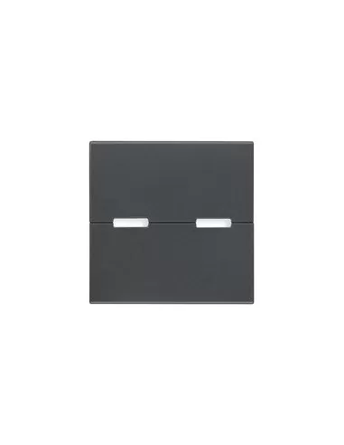 Vimar 20532.S - Cubierta de llave neutra de 2 módulos para interruptores basculantes, gris