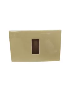 Vimar 08635.B.13 Plaque 1 trou ivoire clair pour boîtes rectangulaires série 8000