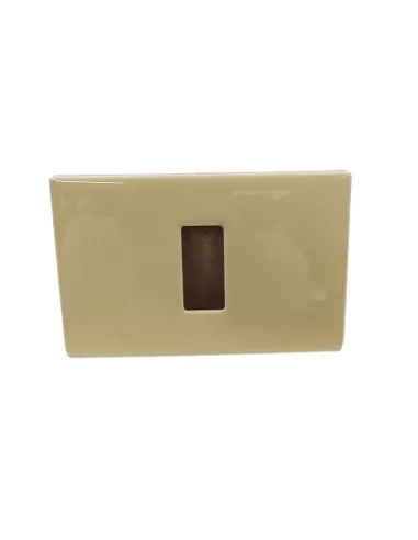 Vimar 08635.B.13 1-Hole Plate Light Ivory for Rectangular Boxes 8000 Series