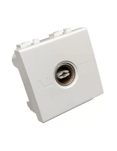 Prise TV Bticino Light dérivée de 2 modules femelles n4201d//2