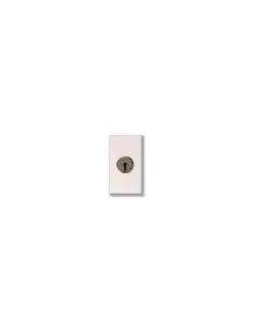 Ave pulsante na 16a con chiave 45b71 serie banquise