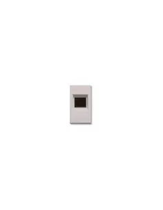 RJ11 TELEPHONE SOCKET 4 PINS RAL