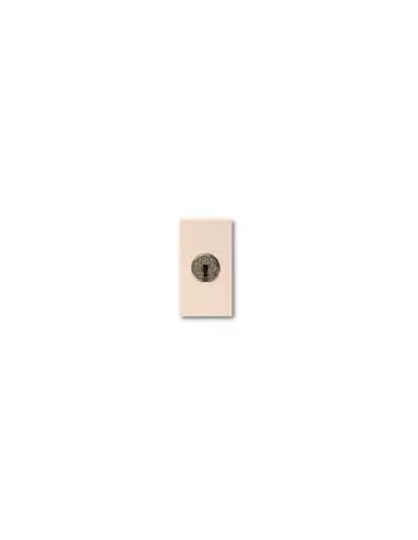 Ave na 16a button with key 45971 blanc series