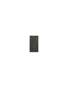 Ave 45371 pulsante a chiave na 16a  noir