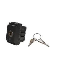 Vimar 16165.S 2P 16Ax Switch Key Off Grey