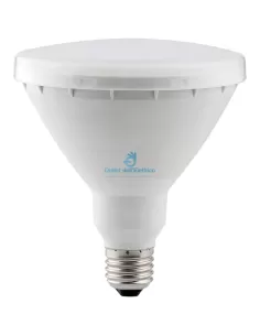 Ampoule LED Wiva 12100085 PAR38 WP E27 15W 6000K