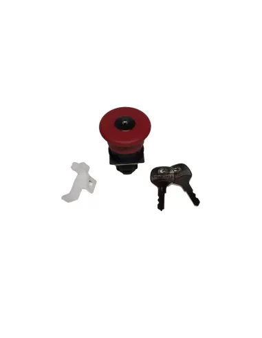 Bouton-poussoir d'urgence champignon Omron a22emk-145613000 Ø40 mm, trou Ø22 mm, avec clé