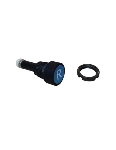 Ge power 185771 p9xrg botón de reinicio azul (simb blanco)