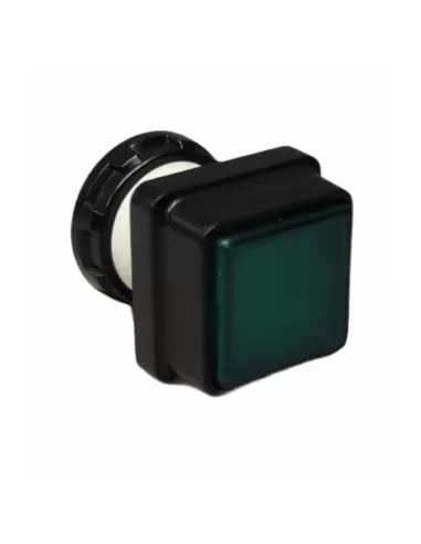 Botón cuadrado verde Schneider d1y3g