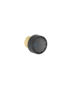 Bouton satiné noir Siemens 3SB10000AB01