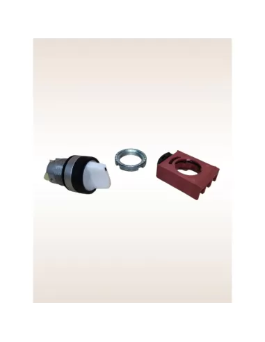 Ge power 184597 p9msld0b sélecteur lumineux 2 positions fixes i-ii