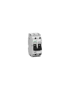 Schneider gb2db09 interrupteur automatique 2p 4a