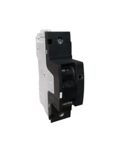 Schneider 18613 interrupteur automatique ng125n 1p 25a courbe c