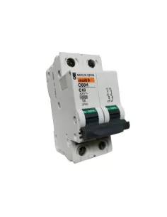 Merlin gerin interruttore magnetotermico 2p 63a 10ka curva c 2m c60h 24926