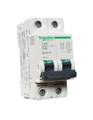 Schneider automatic circuit breaker c60n 2p 6a 2 modules c ul//csa 24447