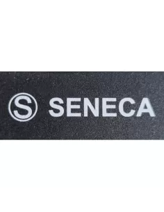 Module Seneca 10 entrées numériques (32 bits à 25 kHz) // RS485