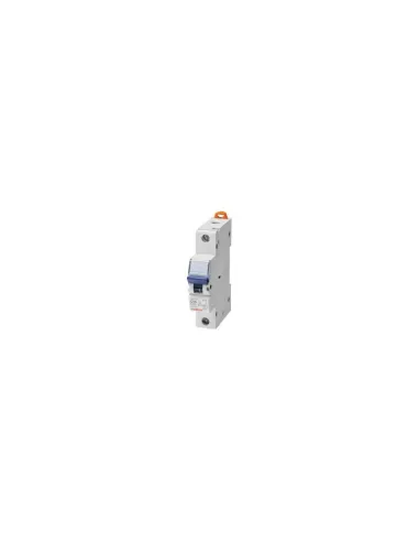 Interrupteur thermomagnétique Gewiss GW92002 1P C2 6KA 1 module