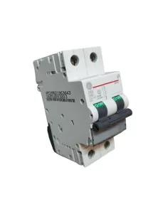Ge power 672083 ep62c63 disjoncteur automatique 2p 63a 6ka c rina 2m