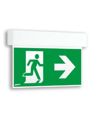 Lynx adesfxis08 emergency light pictogram iso fox is-08