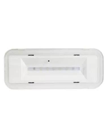 Ats fw2007 emergency flagway light