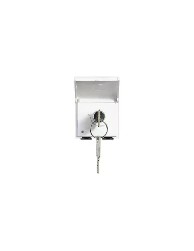Cerradura con llave Bticino 7163n para maniobras giratorias 250 1600 m