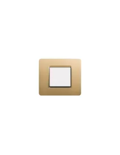 Legrand AM4802GL Plaque de recouvrement de prises et caches d'interrupteurs