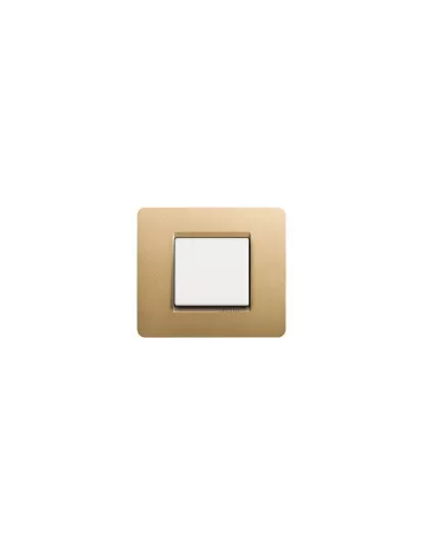 Legrand AM4802GL Plaque de recouvrement de prises et caches d'interrupteurs